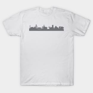 Eindhoven in gray T-Shirt